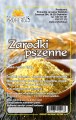 zarodki pszenne.jpg