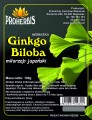ginkgo biloba.jpg