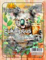 herbatka eukaliptus.jpg