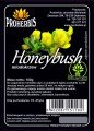 honeybush.jpg