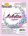 lobelia.jpg