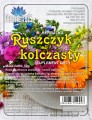 ruszczyk cięty.jpg