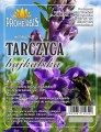 tarczyca bajkalska.jpg