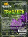 traganek.jpg