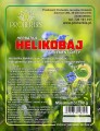 helikobaj herbatka (1).jpg