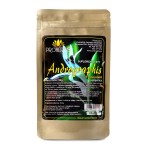 Andrographis paniculata 50g (brodziuszka wiechowata) 