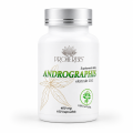 andrographis 100 kapsułek