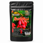 Berberys zwyczajny herbatka 50g