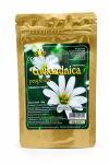 Gwiazdnica pospolita 50g