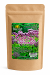 Sadziec purpurowy 50g