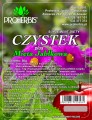 czystek z mięta jabłkową.jpg