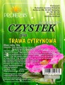 czystek z tr cytr 50g.jpg