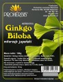ginkgo biloba.jpg