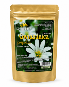 Gwiazdnica pospolita 50g