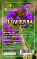głowienka polska.jpg