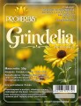 Grindelia.jpg
