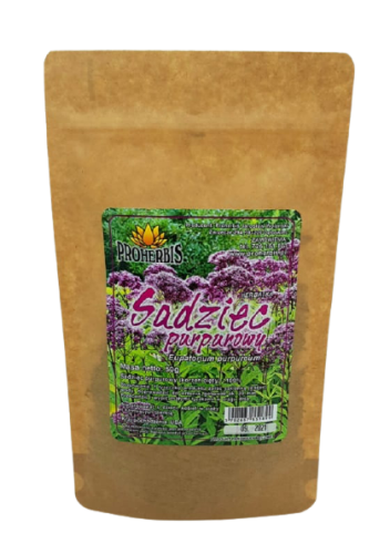 korzeń sadźca sadziec purpurowy