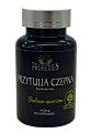 przytulia czepna