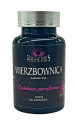wierzbownica drobnokwiatowa prostata